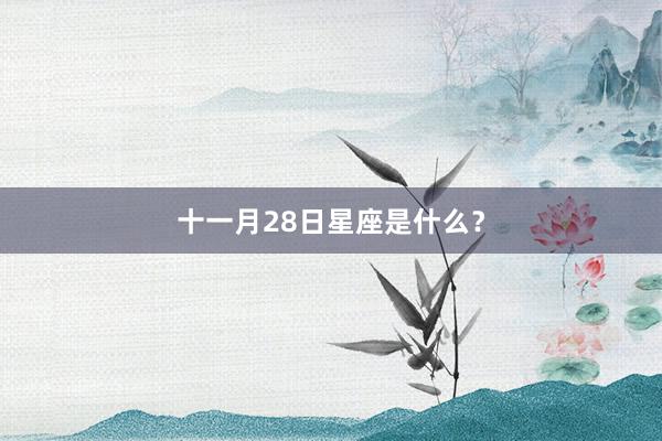 十一月28日星座是什么？
